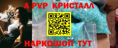 стаф Кинель