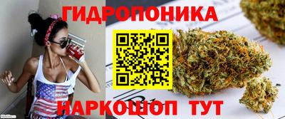 марихуана Кингисепп