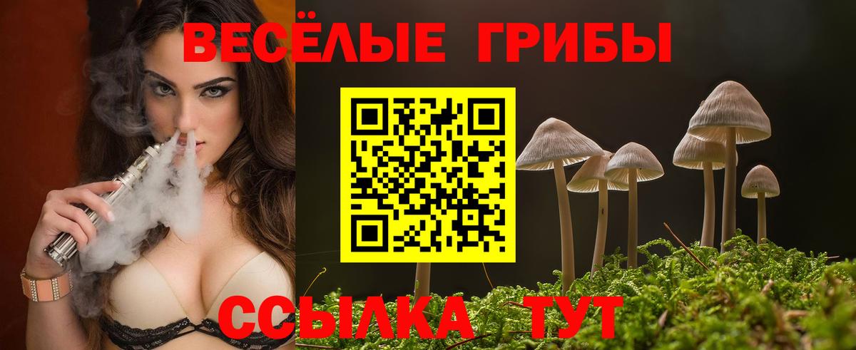 Галлюциногенные грибы Psilocybe  где можно купить   Псилоцибиновые грибы Cubensis  Красноярск  Вход с VPN 